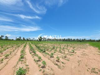 ที่ดินสำหรับขายที่ห้วยใหญ่