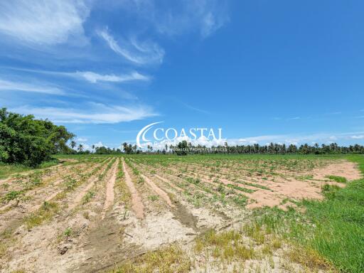 Land For Sale Huay Yai