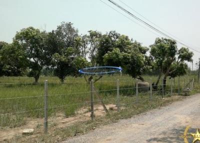 Land for sale near Wat Mongkol Hua Hin
