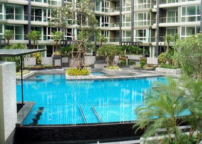 Apus Condo for Sale at Central Pattaya