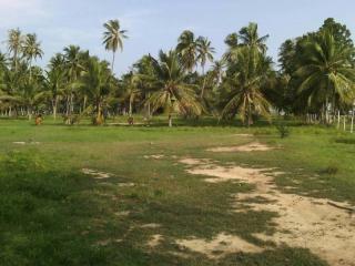 Beachfront land Bang Saphan