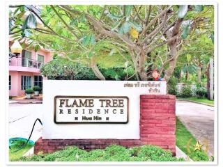 Flame Tree Penthouse Apartment