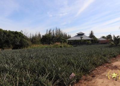 Land plots for sale Khao Tao