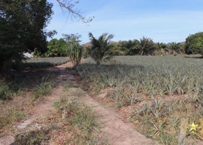 Land plots for sale Khao Tao