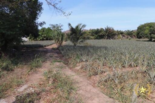 Land plots for sale Khao Tao