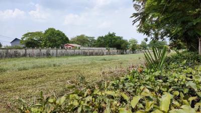 Land for sale, 150 sq m., Sukhaphiban 5 Road, Soi 82, Or Ngoen, Sai Mai, Bangkok.