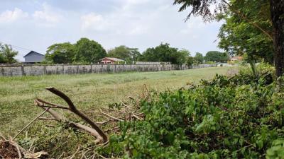 Land for sale, 150 sq m., Sukhaphiban 5 Road, Soi 82, Or Ngoen, Sai Mai, Bangkok.