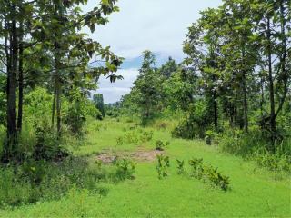 Land for sale 51 rai 229 square wah, Fueng Fah Ing Doi Project, Maungua Chae , Mueang , Lamphun.