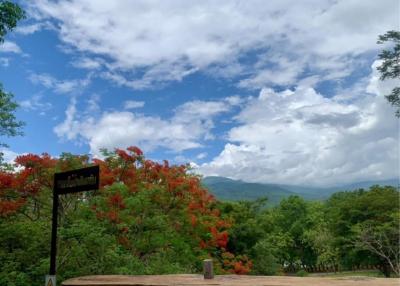 Land for sale 53 rai 2 ngan on a mountain view , Mae Ram , Mae Rim , Chiang Mai.