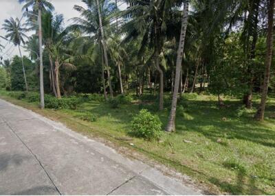 Land for sale 8 rai 65 sq m., Koh Phangan Subdistrict, Koh Phangan , Surat Thani.