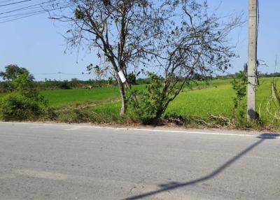 Land for sale, 51 rai, Road 3047, Lamlad-Ladbua, Bangtoei, Sam Khok, Pathum Thani., Pathum Thani.