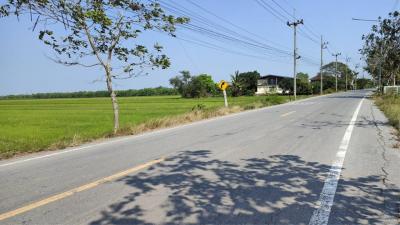 Land for sale, 51 rai, Road 3047, Lamlad-Ladbua, Bangtoei, Sam Khok, Pathum Thani., Pathum Thani.