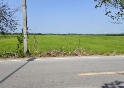 Land for sale, 51 rai, Road 3047, Lamlad-Ladbua, Bangtoei, Sam Khok, Pathum Thani., Pathum Thani.