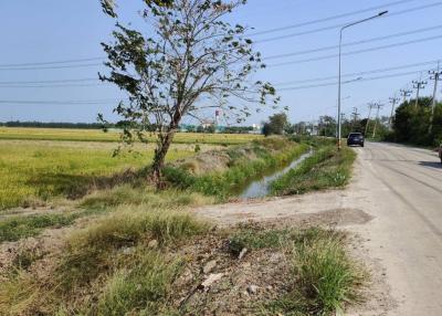 Land for sale 31 rai 248 square wah, Road 3014, Khu Khwang, Lat Lum Kaew, Pathum Thani., Pathum Thani.