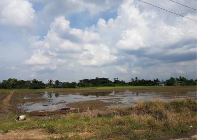Land for sale 6 rai, Bang Khu Wat Subdistrict, Mueang , Pathum Thani.