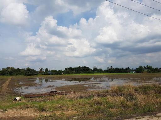 Land for sale 6 rai, Bang Khu Wat Subdistrict, Mueang , Pathum Thani.