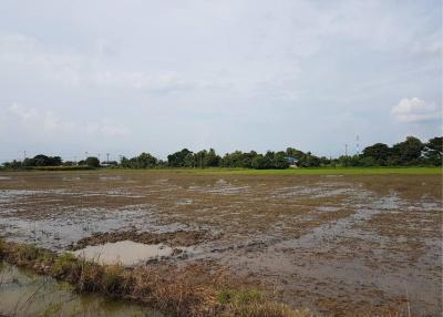 Land for sale 6 rai, Bang Khu Wat Subdistrict, Mueang , Pathum Thani.