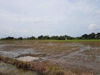 Land for sale 6 rai, Bang Khu Wat Subdistrict, Mueang , Pathum Thani.