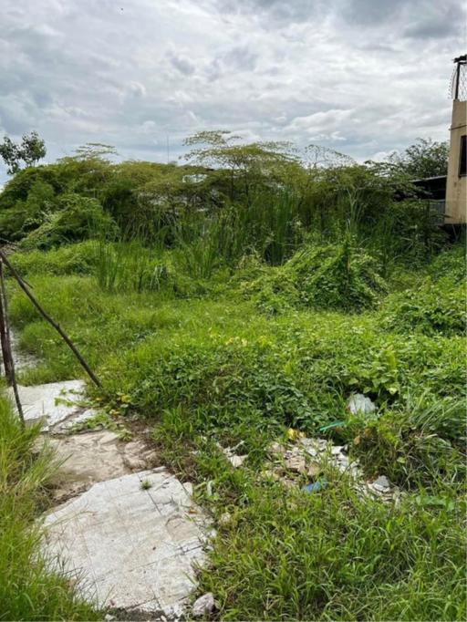 Land for sale 2 rai 316 sq wa. Ekachai 36 Road, Bang Khun Thian, Chom Thong, Bangkok.