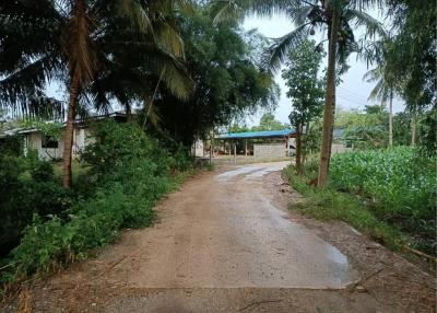 Land for sale 109 rai, Yothathikan Road 3060, Khlong Muang , Pak Chong , Nakhon Ratchasima.