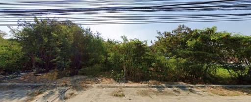 Land for rent, 7 rai, Borommaratchachonnani Road, Bang Toei , Sampran , Nakhon Pathom.