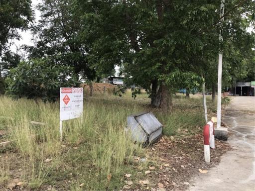 Land for sale 8 rai 275 square wa, Highway No. 11, Wang Thong - Sak Lek , Sak Lek , Phichit.