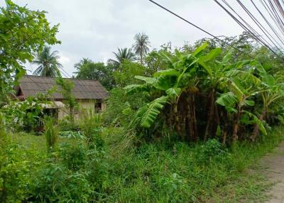 Land for sale 1 rai 3 ngan 63 square wa, Thaweerat Phakdi Road, Maenam , Koh Samui , Surat Thani