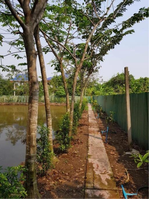 Land for sale with a 2-storey house, 716 sq. W. Soi Bang Duan, T. Bang Duan,A. Mueang , Samut Prakan.