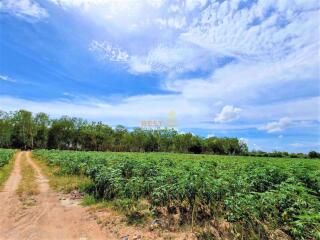 Land available in Mabprachan Lake L010946