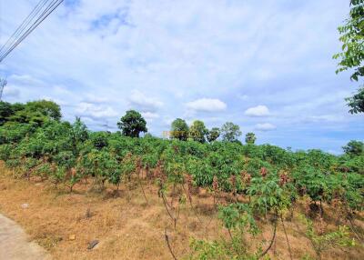 Land available in Pong L010932
