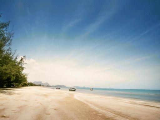 One Bedroom Pool View on Dolphin Bay Beach