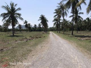 6 Rai Land only 500 meter from Dolphin Bay Beach