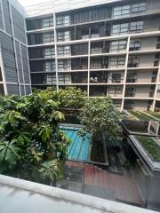 For RENT : MODE Sukhumvit 61 / 1 Bedroom / 1 Bathrooms / 55 sqm / 45000 THB [R12008]