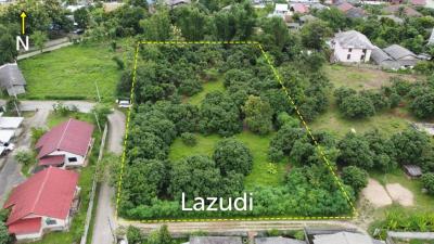 2 Rai Beautiful Land for Sale Near to MFU