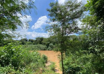 Land for sale by the Ping River, Muang Kaew, Mae Rim, Chiang Mai