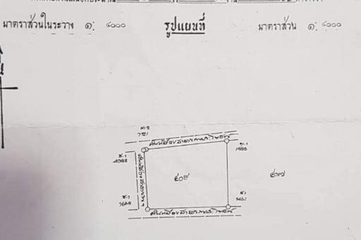 A large plot for sale in Mae Rim, Chiang Mai