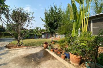 4 bed house with a private pool for rent or sale in San Sai, Chiang Mai