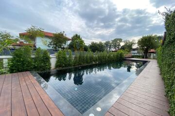 4 bed house with private pool for rent or sell in Saraphi, Chiang Mai