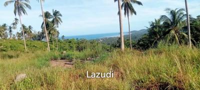 Sea View Mountain land for sale in Lipa Noi