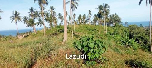 Sea View Mountain land for sale in Lipa Noi