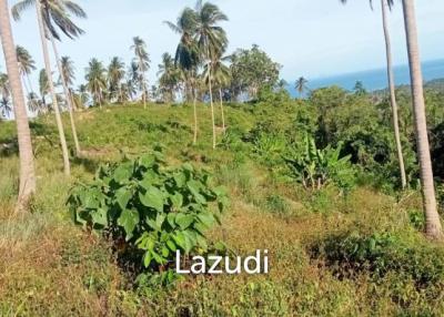 Sea View Mountain land for sale in Lipa Noi