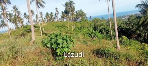 Sea View Mountain land for sale in Lipa Noi