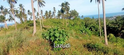 Sea View Mountain land for sale in Lipa Noi