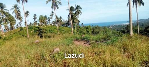 Sea View Mountain land for sale in Lipa Noi