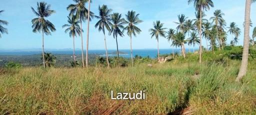 Sea View Mountain land for sale in Lipa Noi