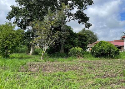 Beautiful 2 rais plot of land for sale in Mae Rim