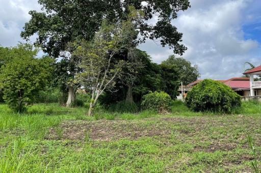 Beautiful 2 rais plot of land for sale in Mae Rim