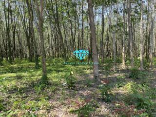 Land for sale in Ao Po, Thalang, Phuket.