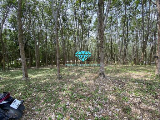 Land for sale in Ao Po, Thalang, Phuket.