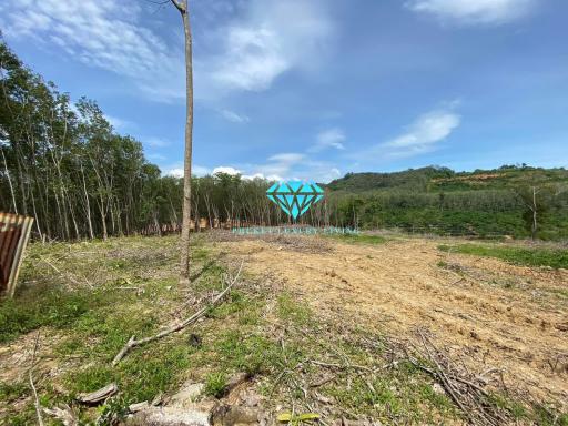 Land for sale in Ao Po, Thalang, Phuket.